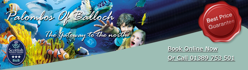 Sealife Aquarium Loch Lomond